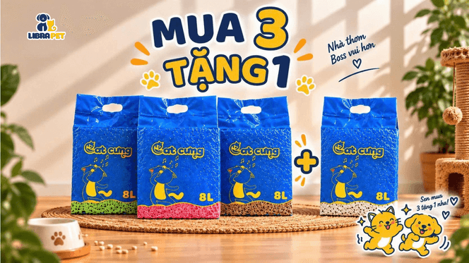 BOSS CÓ THỂ KHÔNG BIẾT SALE, NHƯNG SEN THÌ PHẢI BIẾT!