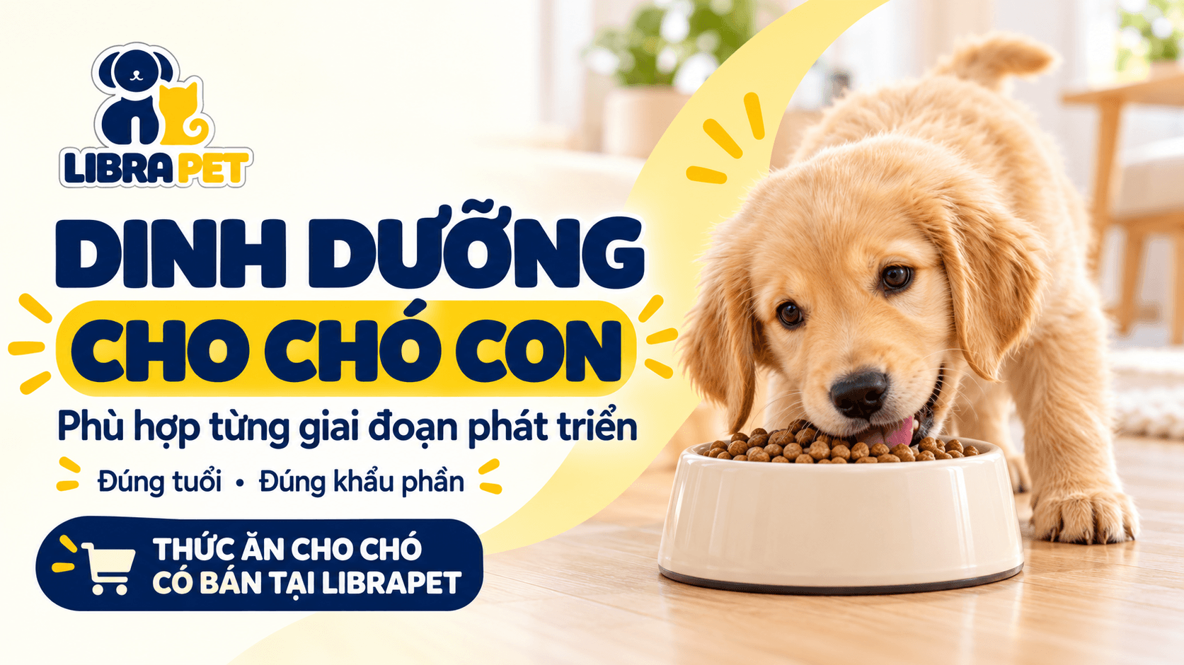 Dinh dưỡng cho chó con: Chọn thức ăn phù hợp theo từng giai đoạn
