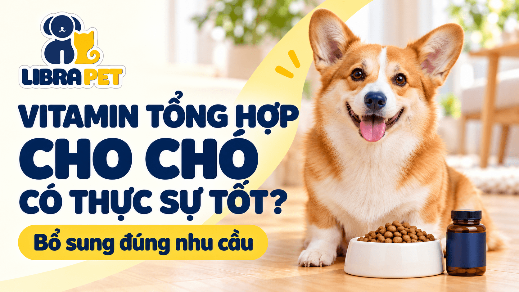 Vitamin tổng hợp cho chó có thực sự tốt? Những điều sen cần biết trước khi bổ sung