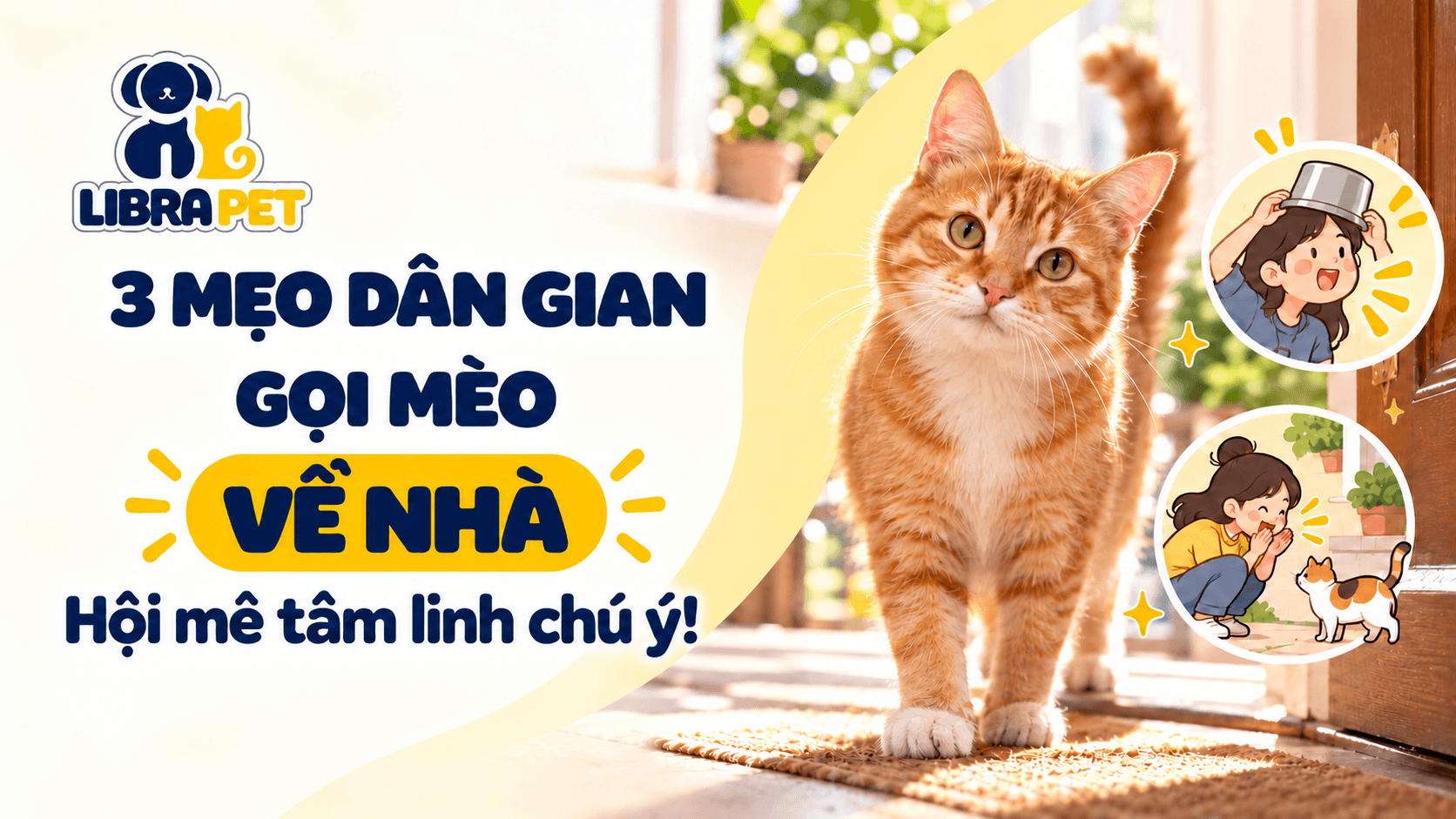 3 mẹo gọi mèo về nhà theo quan niệm dân gian – Hội mê tâm linh chú ý!
